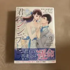 君はシンデレラ～孤高な御曹司が絶え間なく愛を注ぐ理由～【財閥御曹司シリーズ】 3