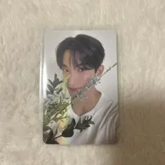 SEVENTEEN ドギョム DK トレカ CARAT盤