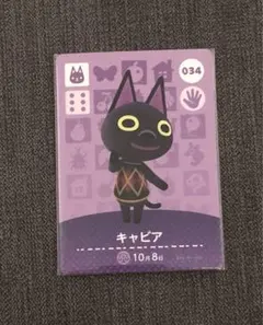 あつ森　amiibo 034 キャビア