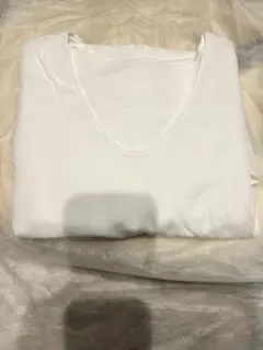 Item thumbnail for item 5a1be785-beb4-4a39-b7c2-f4bb342e19a5