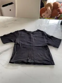 ブラック Tシャツ サイズF 100%コットン