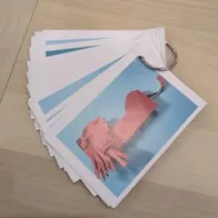 2月閉店動物生き物27体画用紙1枚で作る設計図小学校受験絵画工作