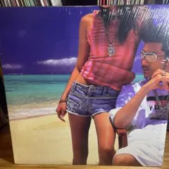 ZEEBRA Perfect Queen 12インチ　レコード