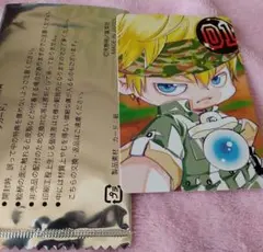 コロネロ　天野明展　自撮り風トレーディングカード　REBORN