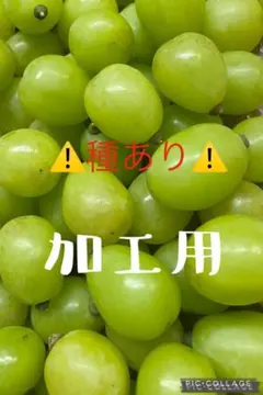シャインマスカット　加工用（5）のサムネイル