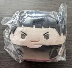 ハイキュー ふわコロりん9 五色工