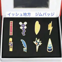 【新品】ポケモン　イッシュ地方　ジムバッジ　コンプリートセット　BW BW2