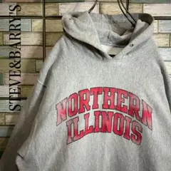 スティーブアンドバリーズ　プルオーバーパーカー　リバースタイプ　ビッグプリント