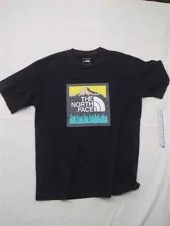 ◎ザ・ノース・フェイス グラフィックTシャツ ブラック系 メンズ L