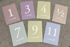 Item thumbnail for item 380c1a72-1f39-4fe7-ae1d-b398f1537776