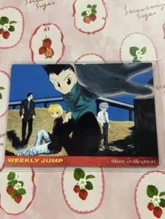 2026年最新】hunter×hunter ジャンプフェスタ 2001の人気アイテム
