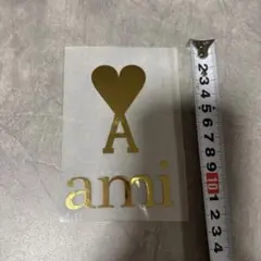 AmiParis 特殊アイロン