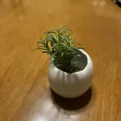 ondine160様 リクエスト 3点 まとめ商品