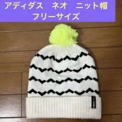 ニット帽 アクセサリー