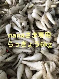 nanaさま専用土付きらっきょう　6kg
