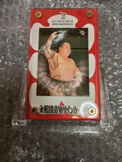 千代の富士BBM直筆サイントレーディングカード 横綱 力士 相撲 サイン