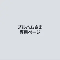 プルハムさま専用ページ