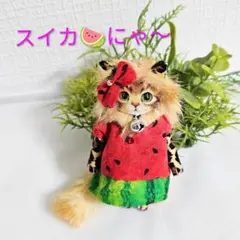 サンダー・茶トラ・猫・ストラップ・コヤンイサムチョン・バック