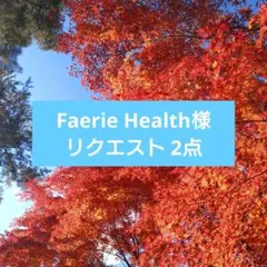 Faerie Health様 リクエスト 2点 まとめ商品
