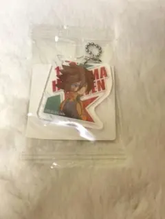 イナズマイレブン アクリミニ 源田幸次郎