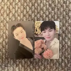 セブチ ウジ your choice トレカ