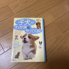 子犬がわが家にやってくる!