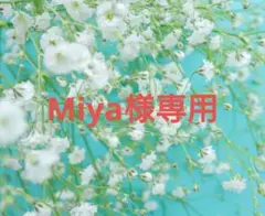 【Miya様専用】