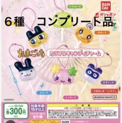 たまごっちカラフルキャンディチャームコンプリート