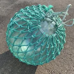 Item thumbnail for item 06c60fd5-449b-4c62-ba7b-ace8533aec3e