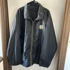 Item thumbnail for item 203f4196-2619-4a6c-910c-fb05fce98244