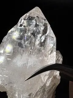 ガネーシュヒマール山脈　ラパ産　GCR_2408-01-36_4