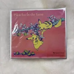 ポケモン 色紙ART ピカチュウ＆ソーナンス - メルカリ
