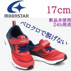 Item thumbnail for item 982b97be-d119-4471-a533-d65d834bda82