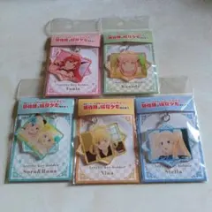 勇者パーティーを追放されたビーストテイマー最強種の猫耳少女と出会う キーホルダー