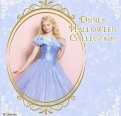 シークレットハニー ディズニー 実写 シンデレラ 仮装 ドレス Dハロ仮装のサムネイル
