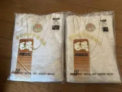 Item thumbnail for item d13142d0-6a04-4c46-b6a6-e28b6f7c0810