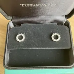 Item thumbnail for item ae092310-271c-4ac1-ad25-e11f4b4621b8