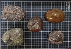 青森県 津軽錦石 天然石 磨き石 5個セット 鑑賞石Aのサムネイル