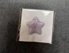 シオン ランダムトイ イラストチャーム