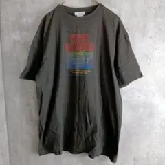 【Lian】チャコールのヴィンテージ風Tシャツ　Ｆ　コットン100%