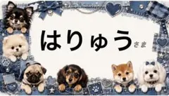 専用