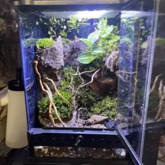 2026年最新】パルダリウムの人気アイテム - メルカリ