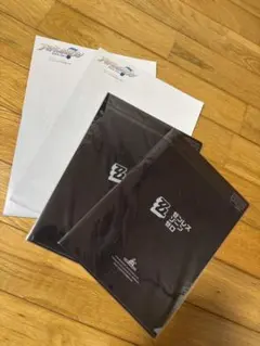 PASH! 付録 ポスター&クリアファイル2セット