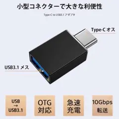 【高性能OTG高速コンバーター】＊Type C - USBアダプター　【個数１】
