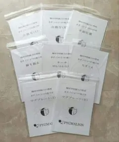 幾何学的能力の育成 まず、この3つの能力を ピグマリオン マグプレート 点描写