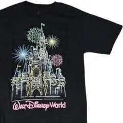 ヘインズ激レアディズニーワールドシンデレラ城Tシャツシュプリームネオンカラー