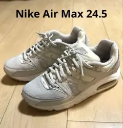 Nike Air Max グレー スニーカー