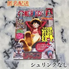 ワンピースマガジン20号 ルフィ シュリンクなし プロモ付き！