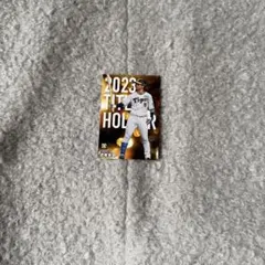 プロ野球チップスカード 2024 阪神タイガース 近本光司