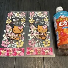 ハローキティ　夏季限定　サーフィン日焼けキティ　携帯クリーナー付き青 ハワイ限定】サーファーハローキティエコバッグ 日焼けキティ